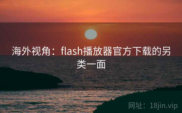 海外视角：flash播放器官方下载的另类一面  第1张