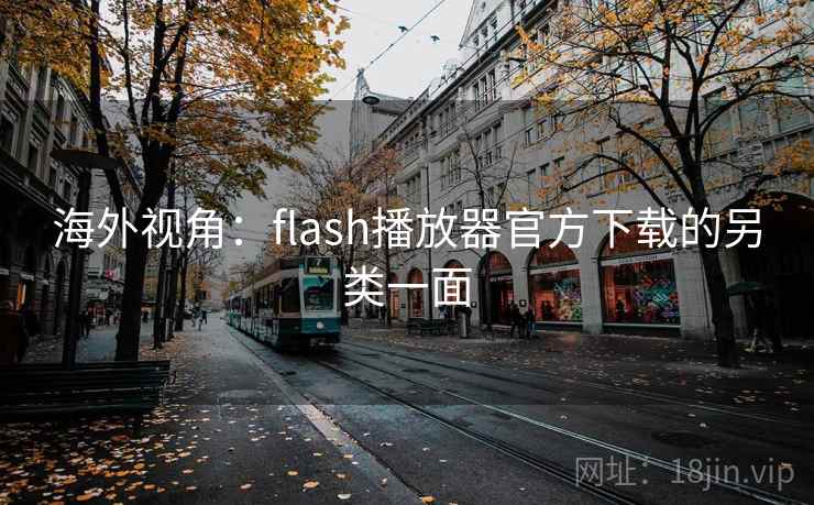 海外视角：flash播放器官方下载的另类一面  第2张